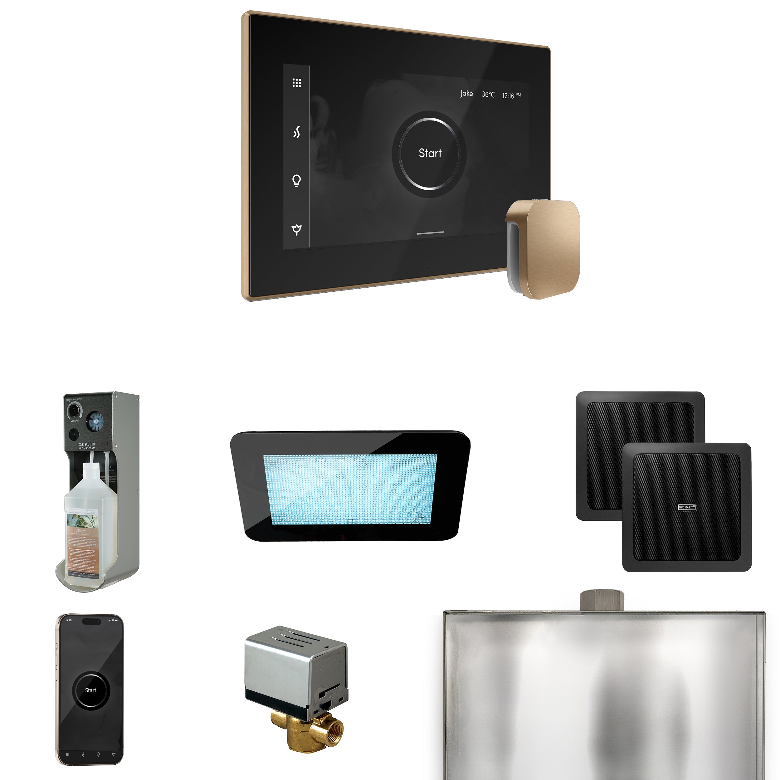 Mr Steam XDream Steam Shower Control Package with iSteamX Control and Steamhead
