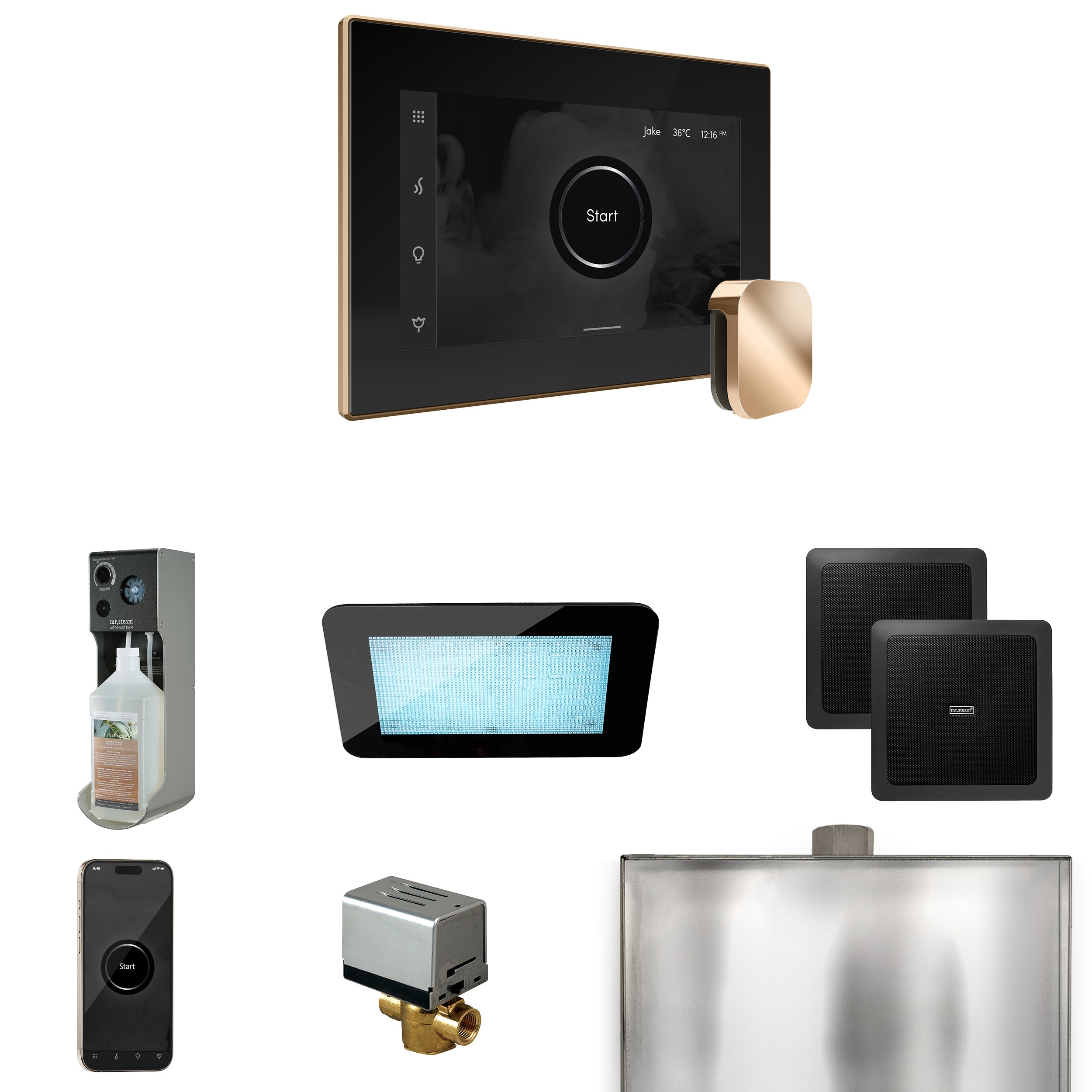 Mr Steam XDream Steam Shower Control Package with iSteamX Control and Steamhead