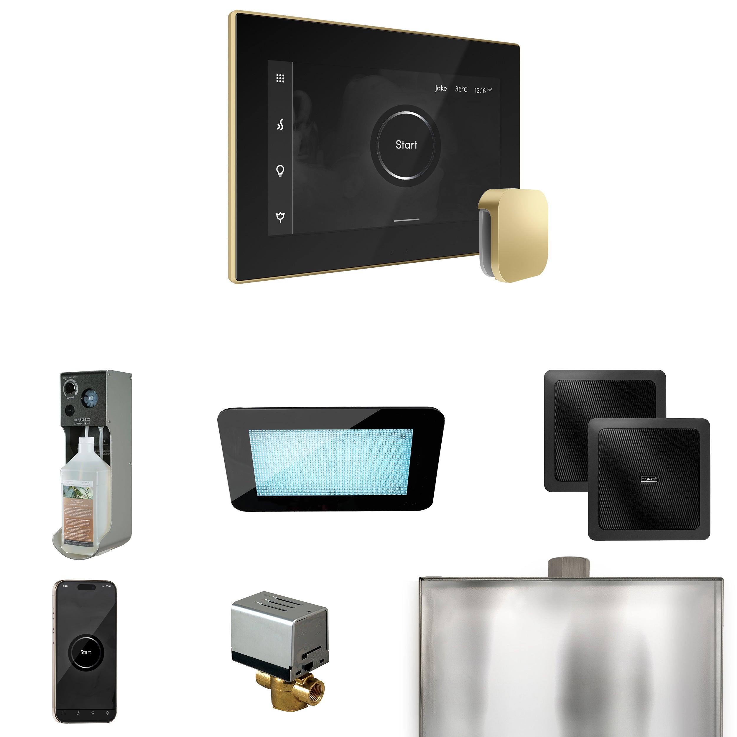 Mr Steam XDream Steam Shower Control Package with iSteamX Control and Steamhead