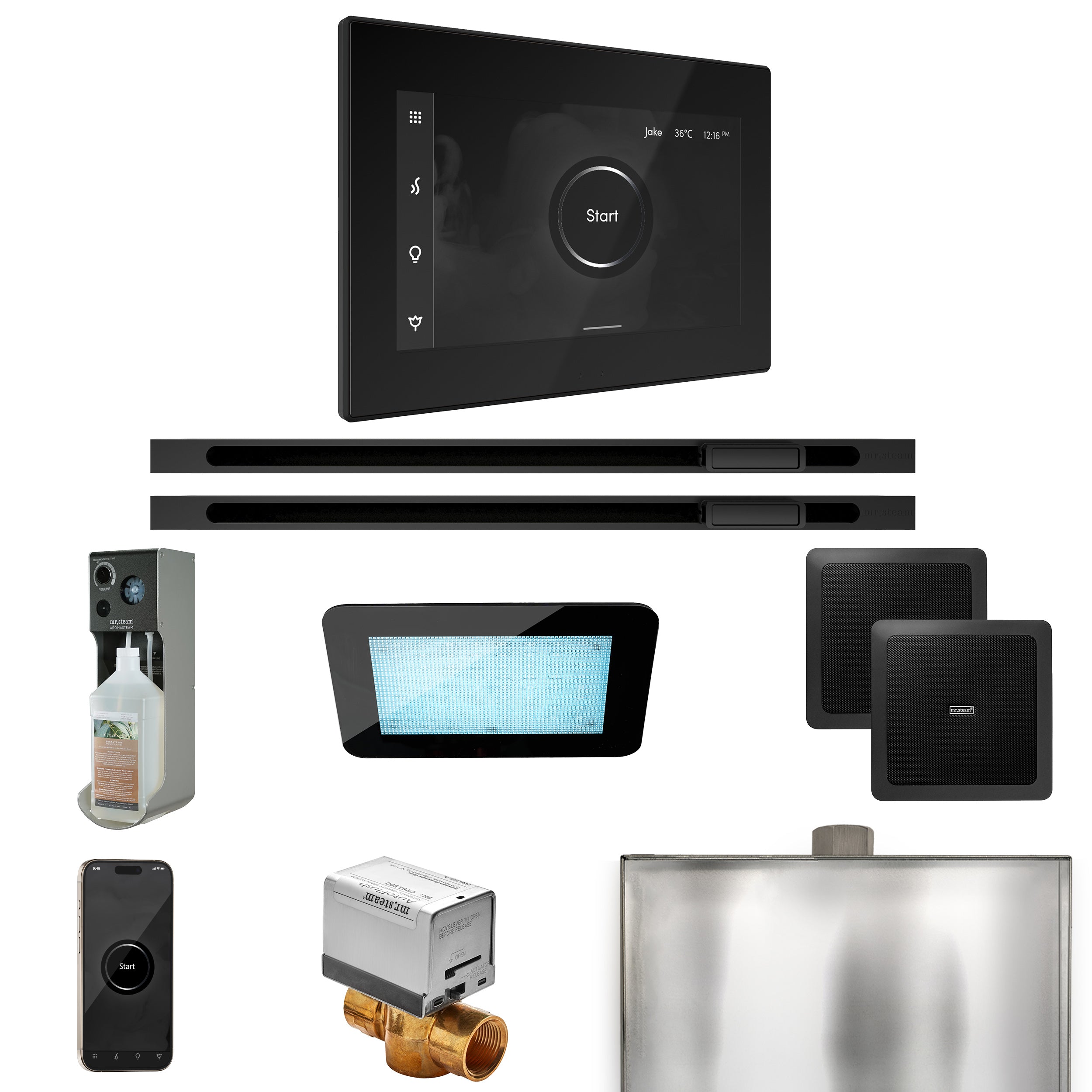 Mr Steam XDream Max Steam Shower Control Package with iSteamX Control and Linear Steamhead