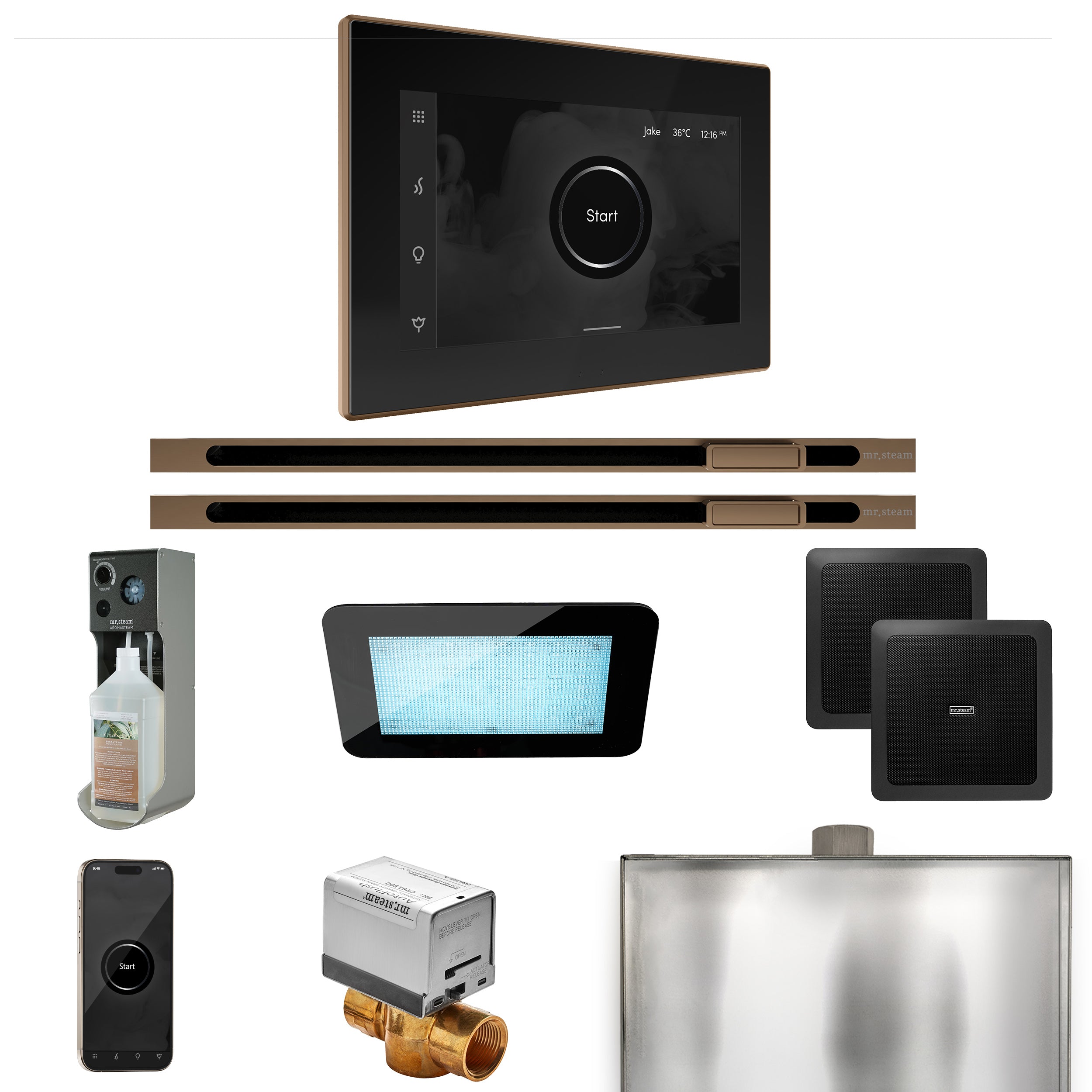 Mr Steam XDream Max Steam Shower Control Package with iSteamX Control and Linear Steamhead