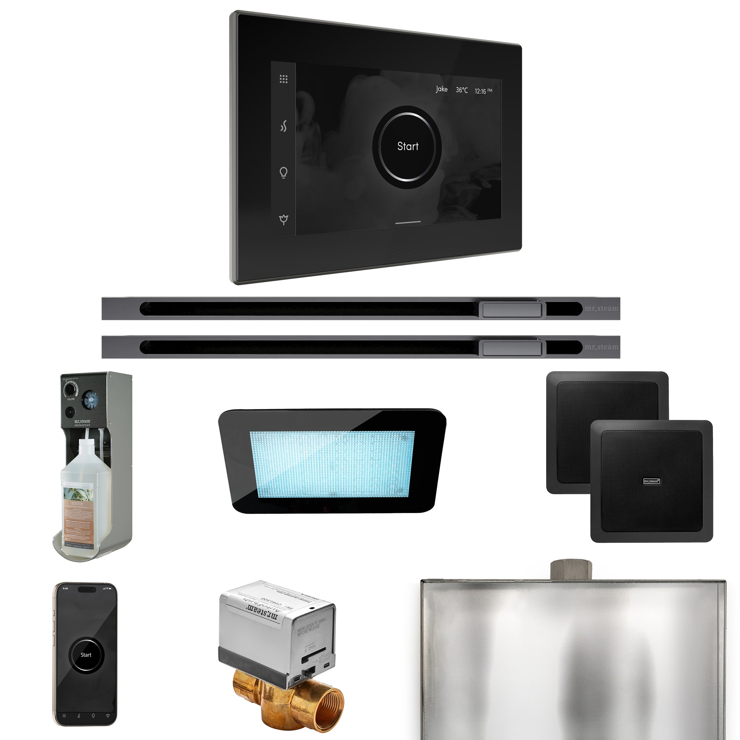 Mr Steam XDream Max Steam Shower Control Package with iSteamX Control and Linear Steamhead