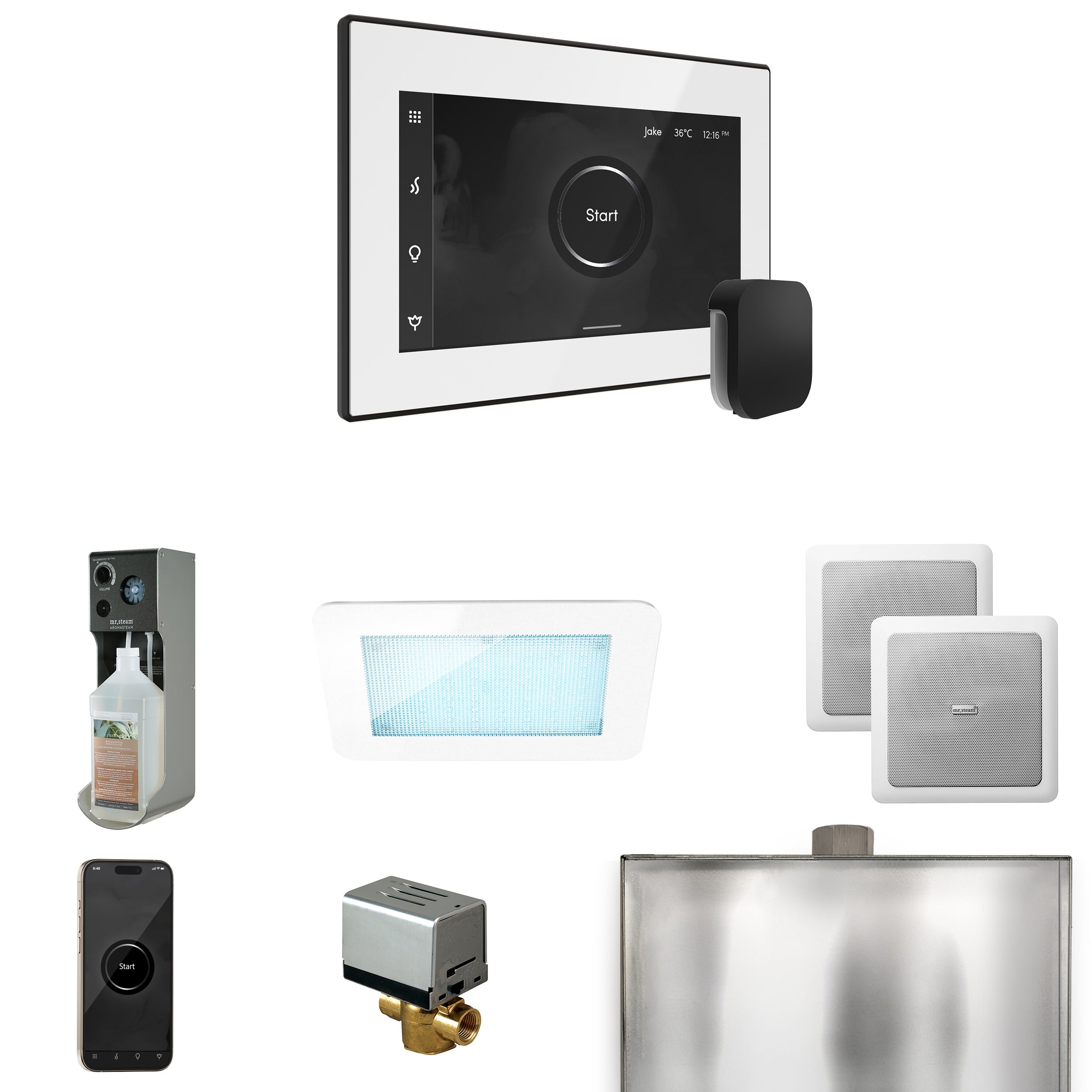 Mr Steam XDream Steam Shower Control Package with iSteamX Control and Steamhead