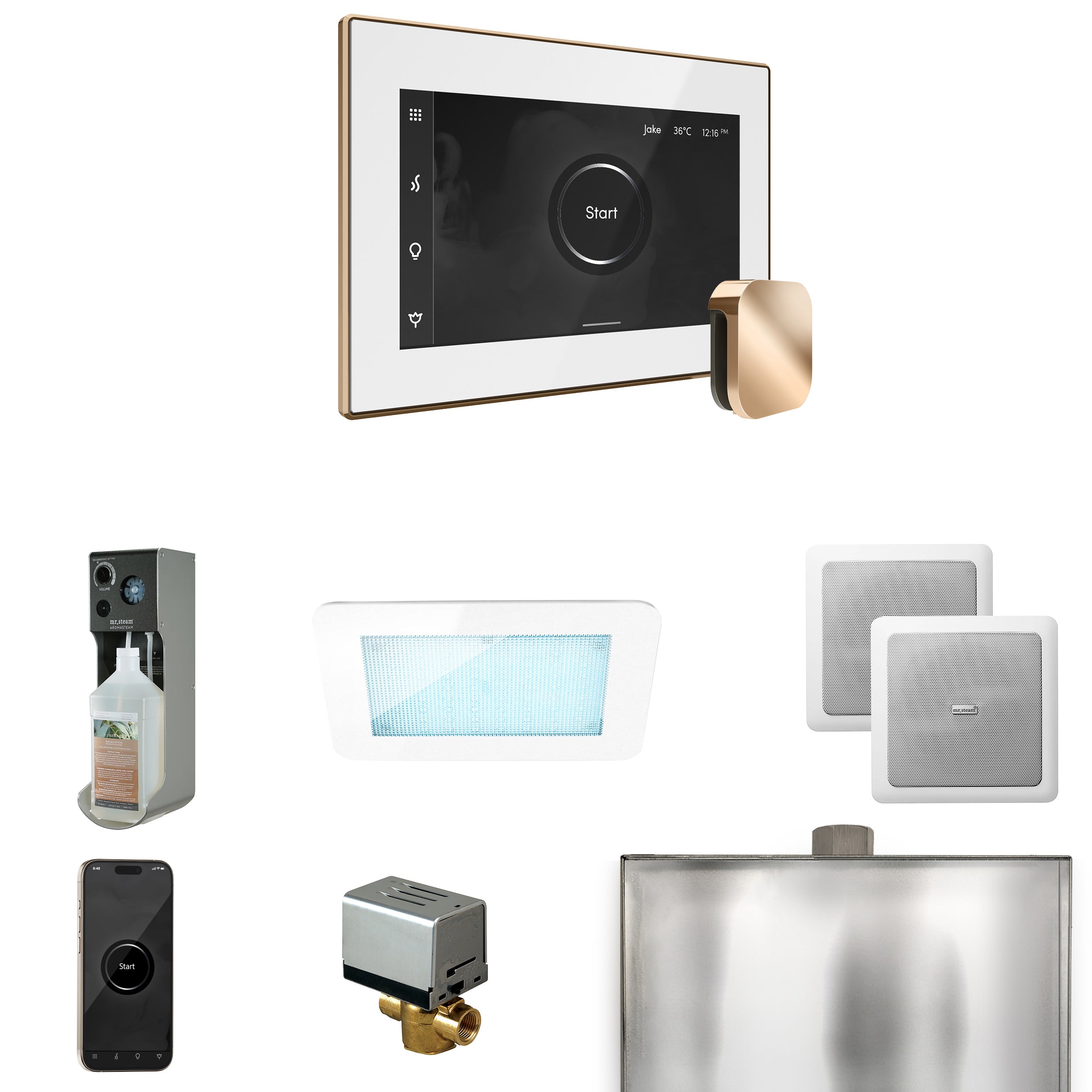 Mr Steam XDream Steam Shower Control Package with iSteamX Control and Steamhead