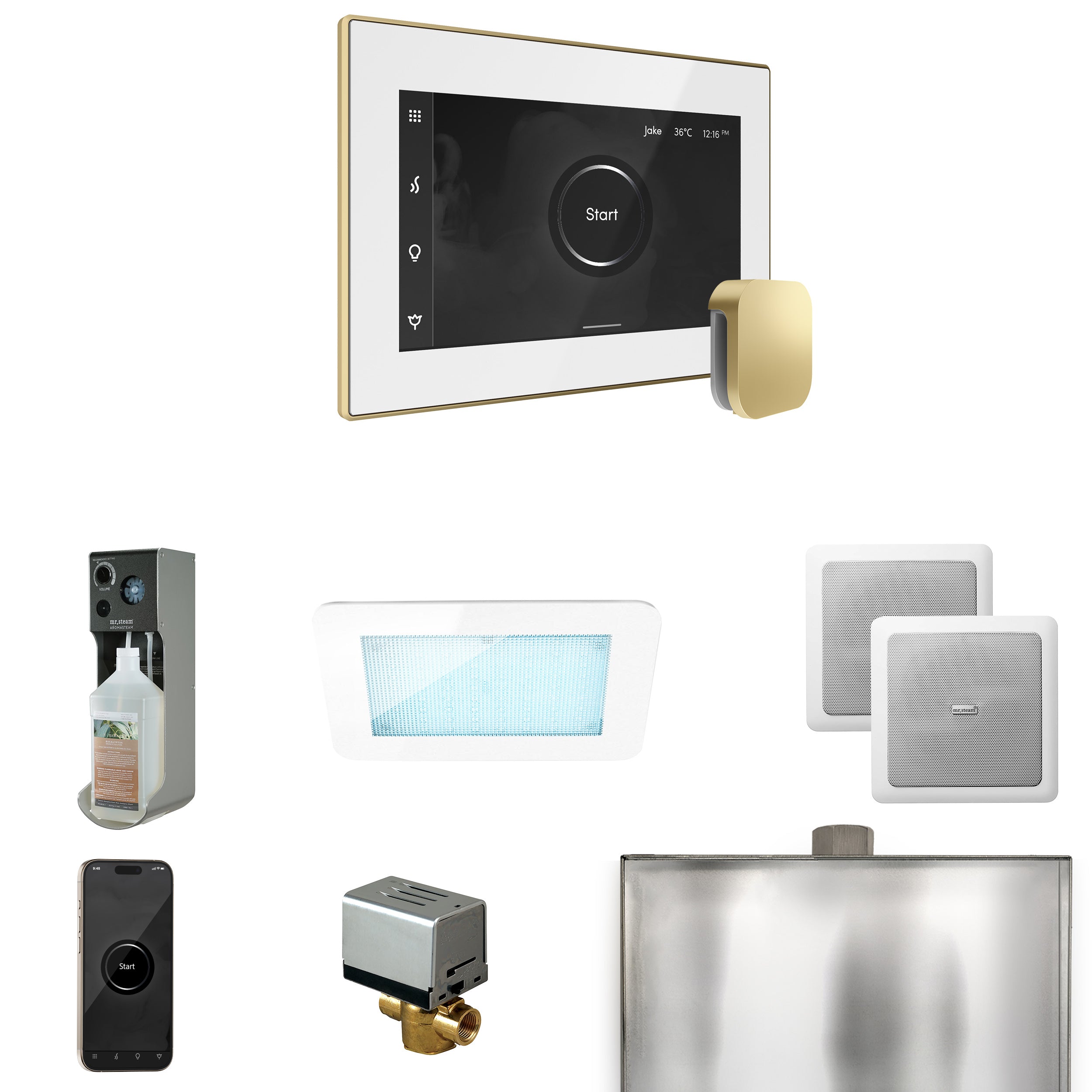 Mr Steam XDream Steam Shower Control Package with iSteamX Control and Steamhead