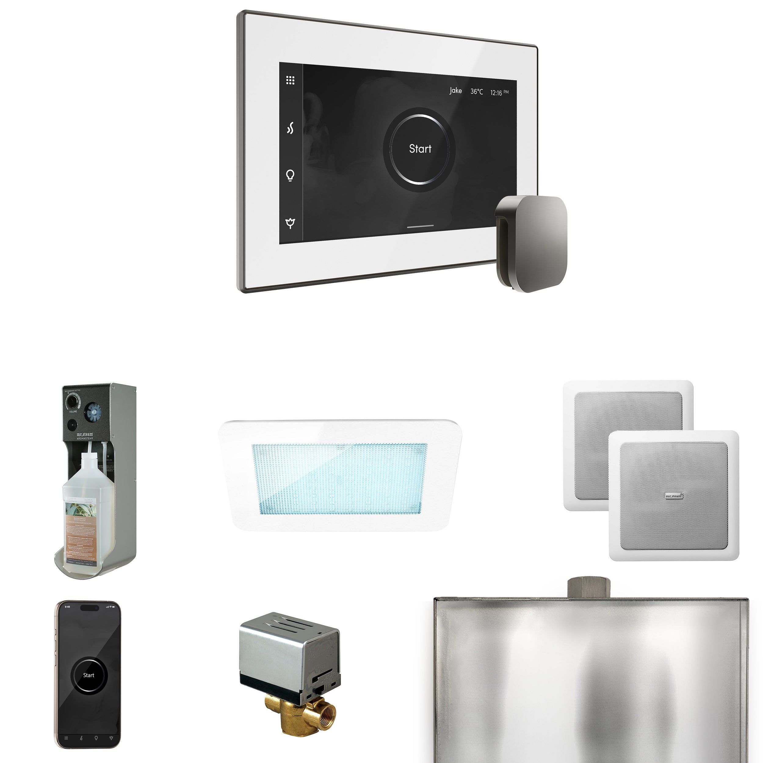 Mr Steam XDream Steam Shower Control Package with iSteamX Control and Steamhead