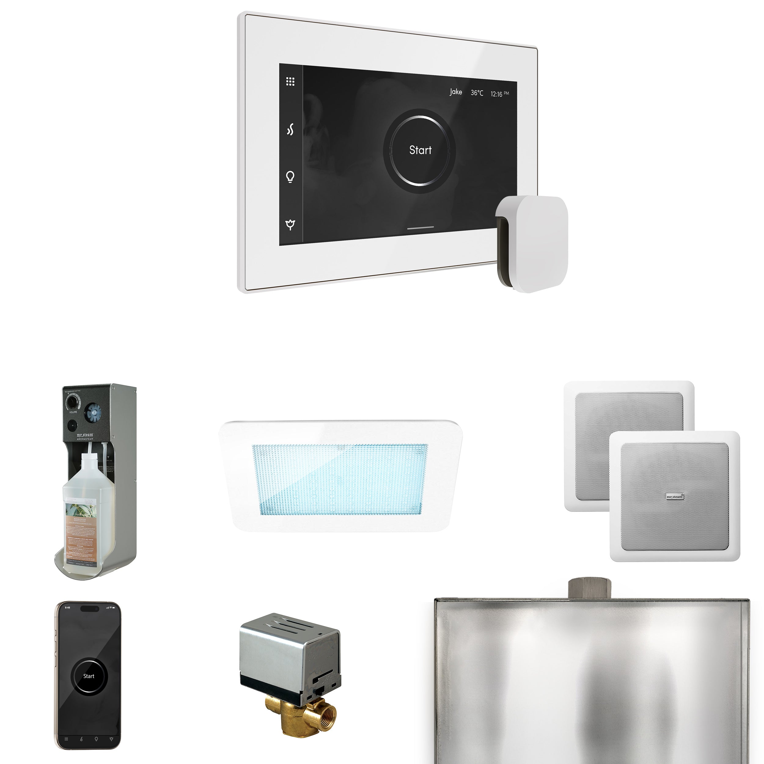 Mr Steam XDream Steam Shower Control Package with iSteamX Control and Steamhead