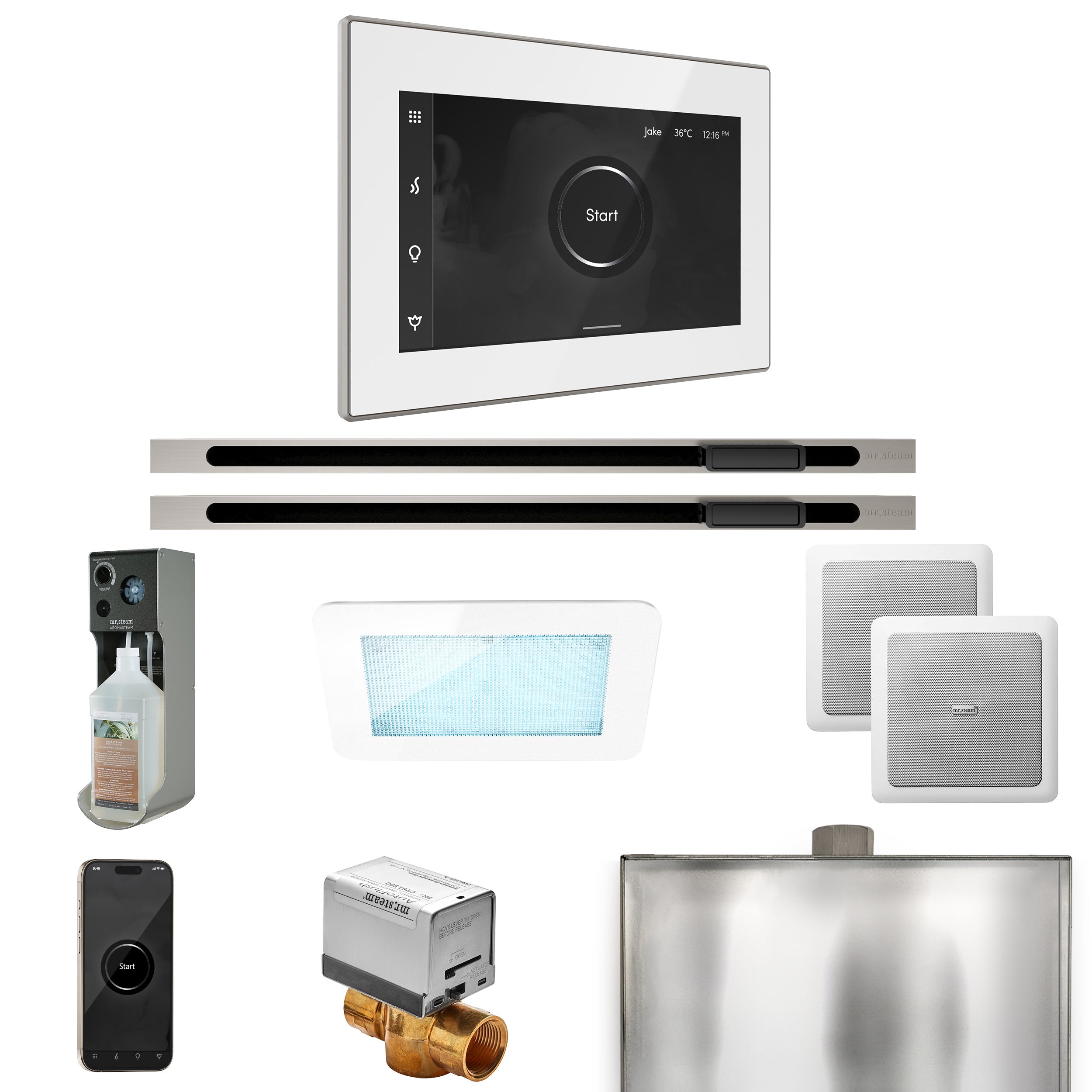 Mr Steam XDream Max Steam Shower Control Package with iSteamX Control and Linear Steamhead