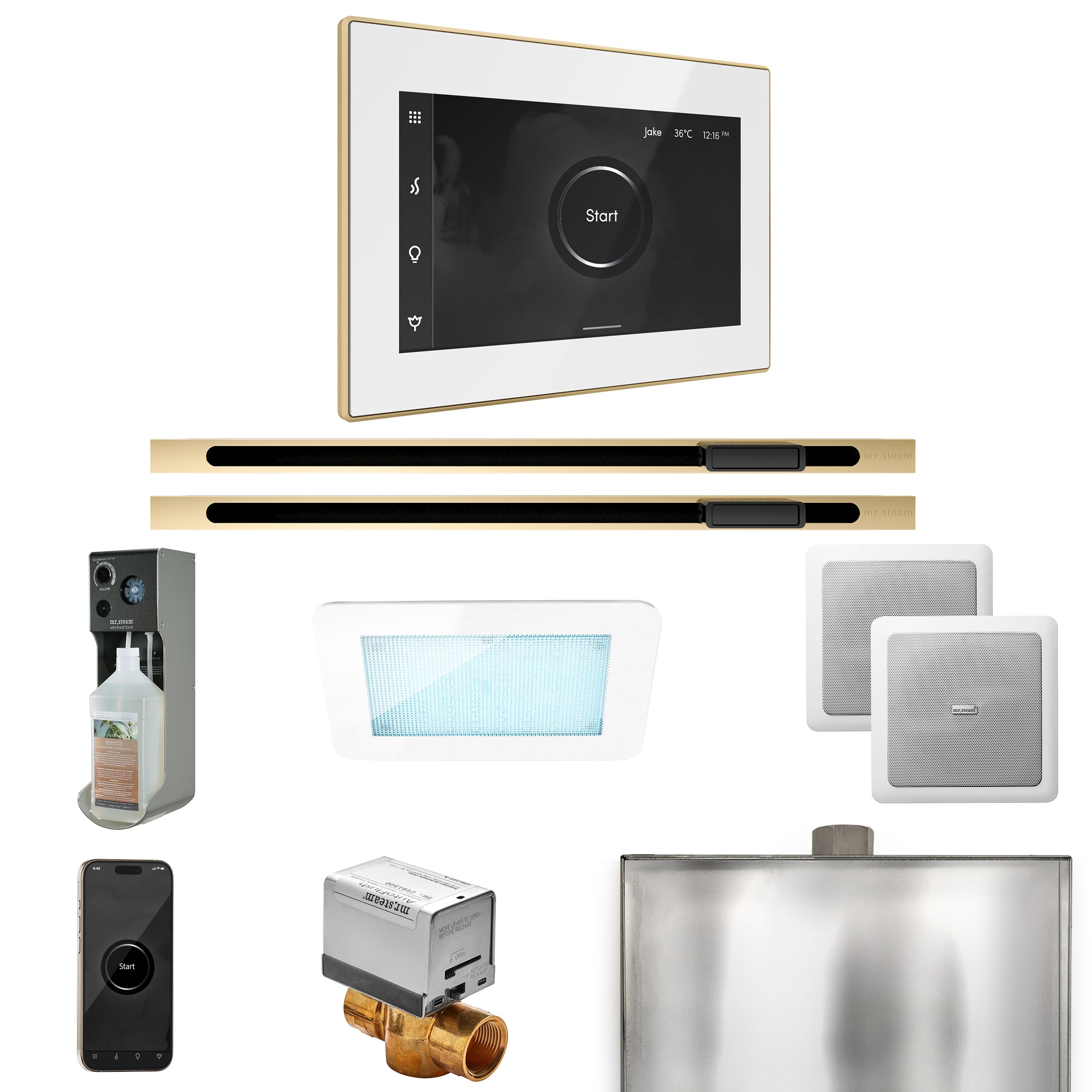 Mr Steam XDream Max Steam Shower Control Package with iSteamX Control and Linear Steamhead