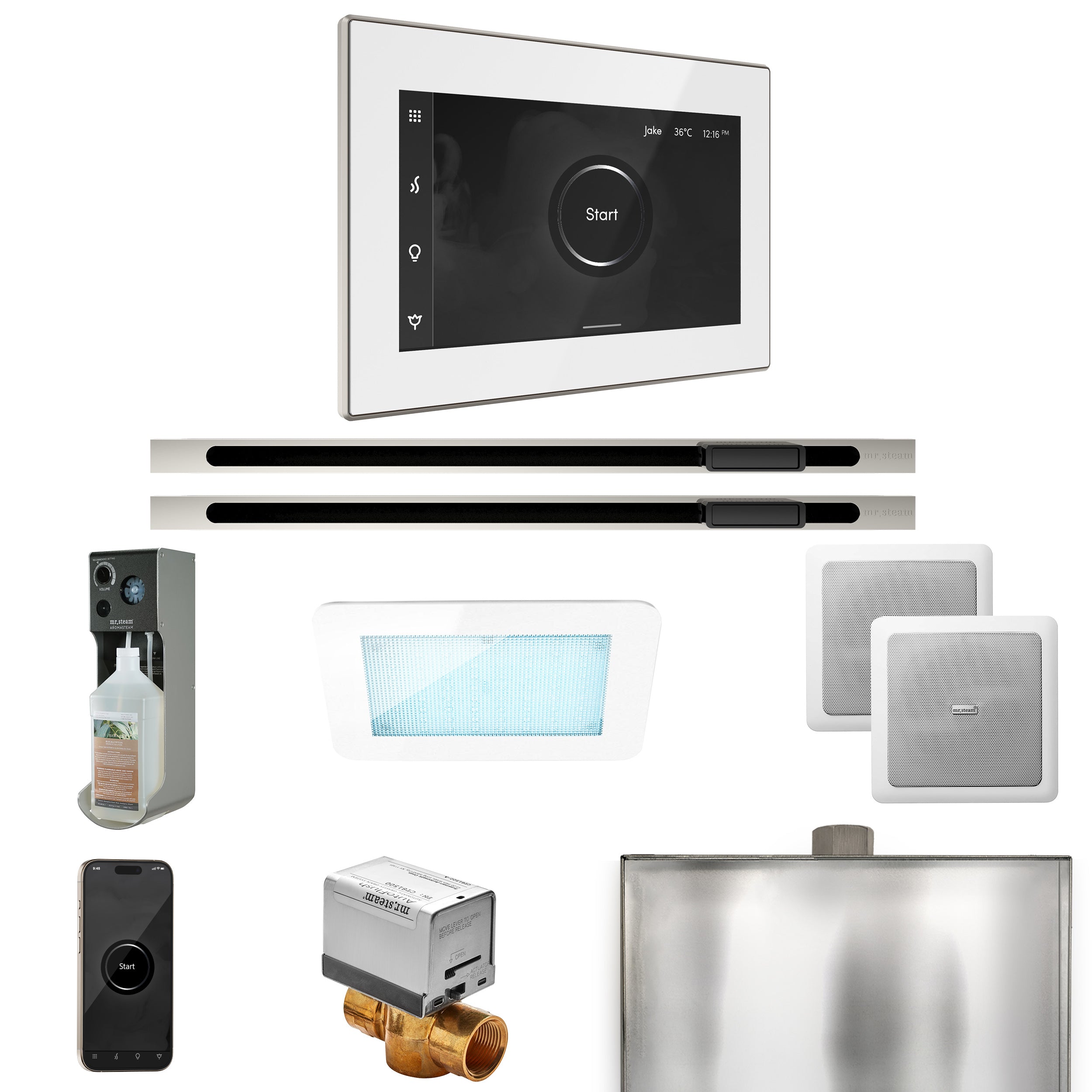 Mr Steam XDream Max Steam Shower Control Package with iSteamX Control and Linear Steamhead