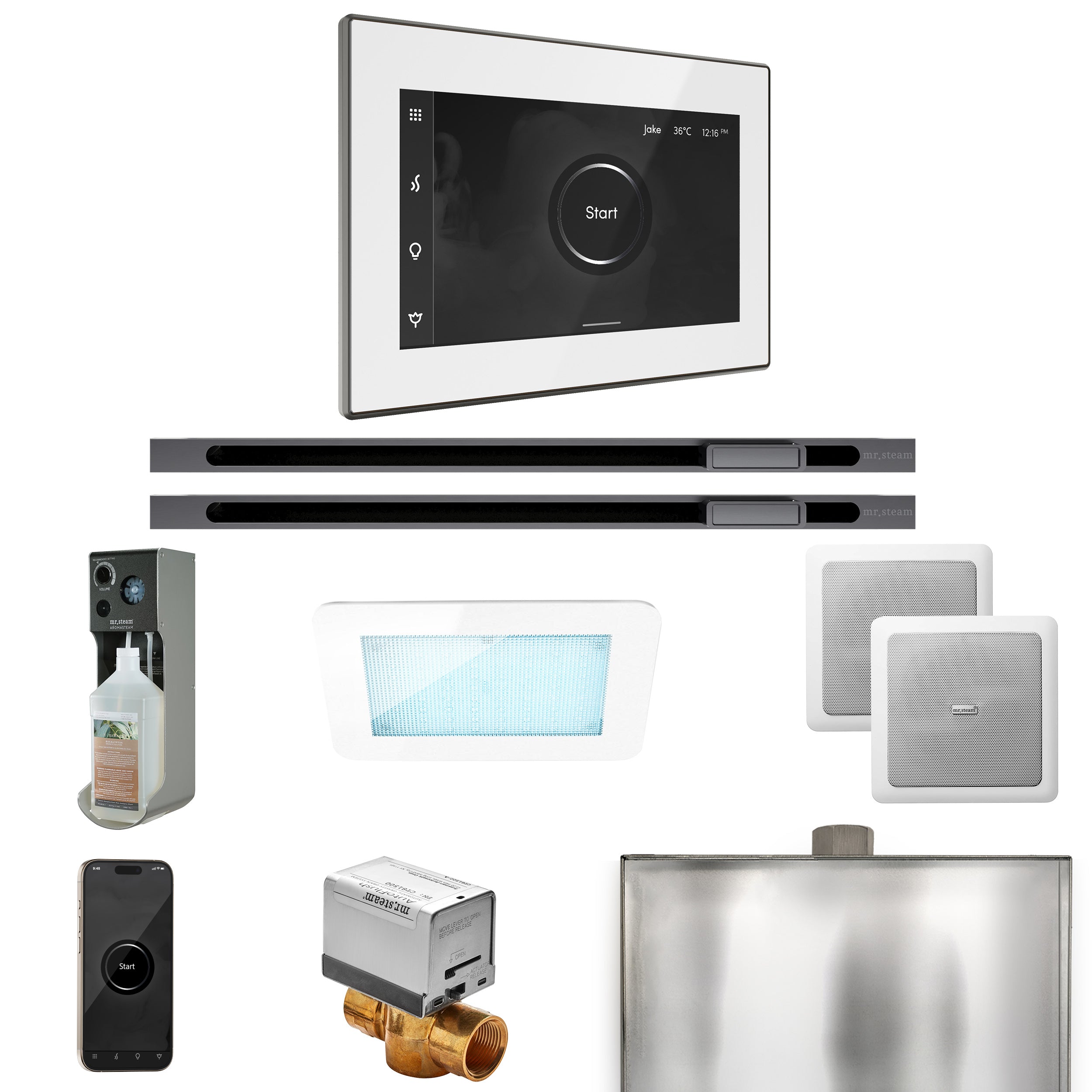 Mr Steam XDream Max Steam Shower Control Package with iSteamX Control and Linear Steamhead