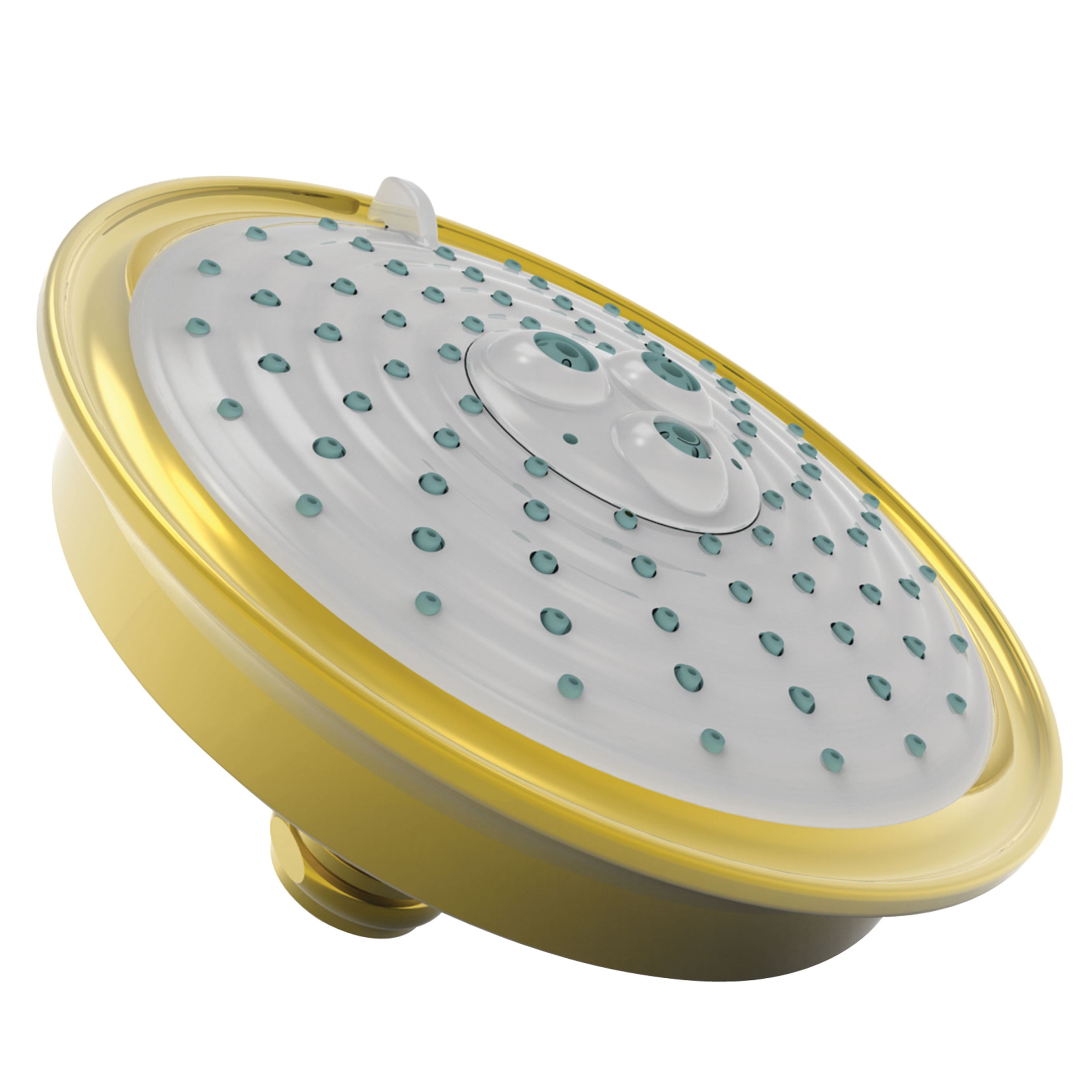 Newport Brass Tub & Shower Multifunction Showerhead