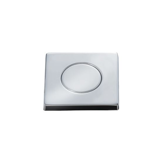 chrome switch button