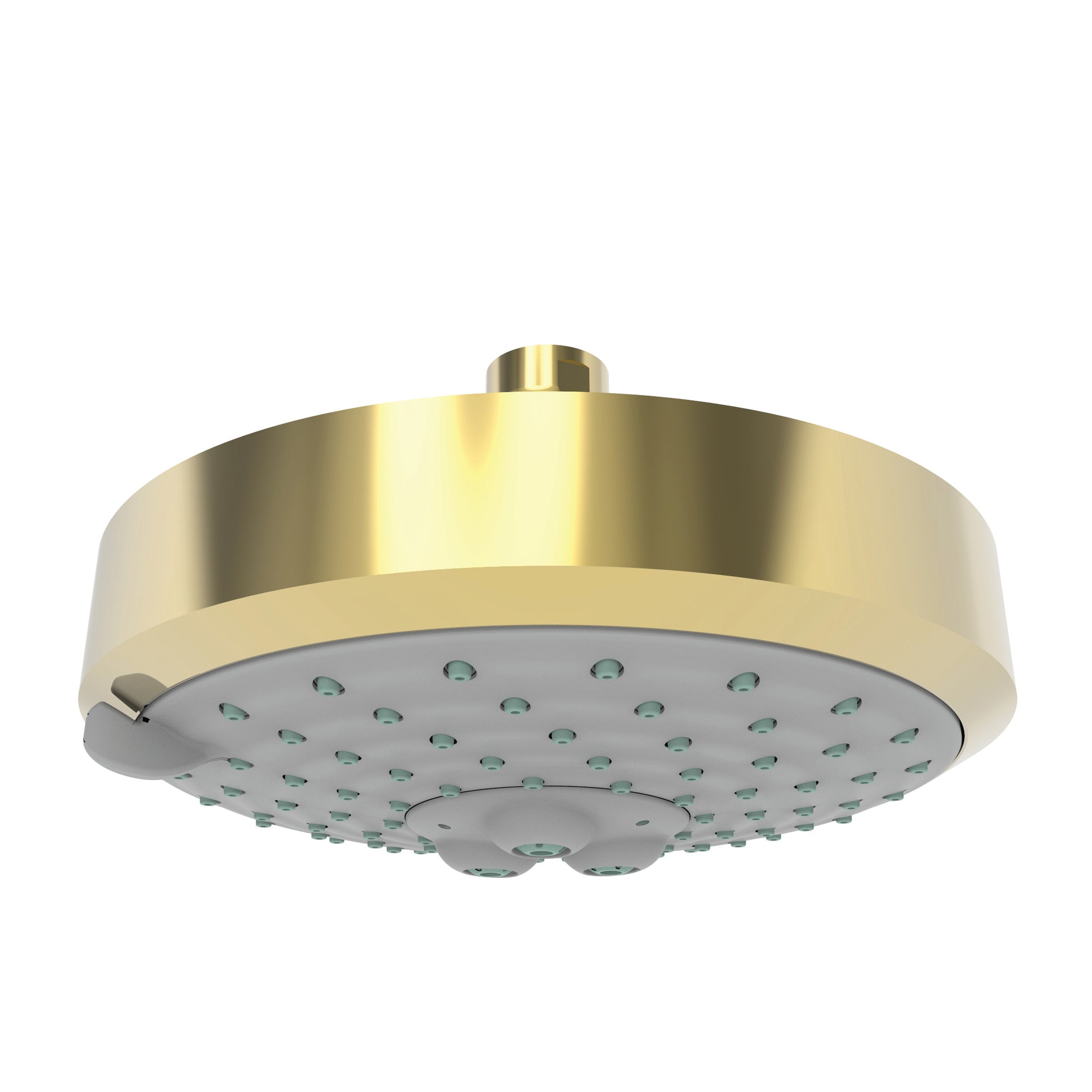Newport Brass Tub & Shower Multifunction Showerhead