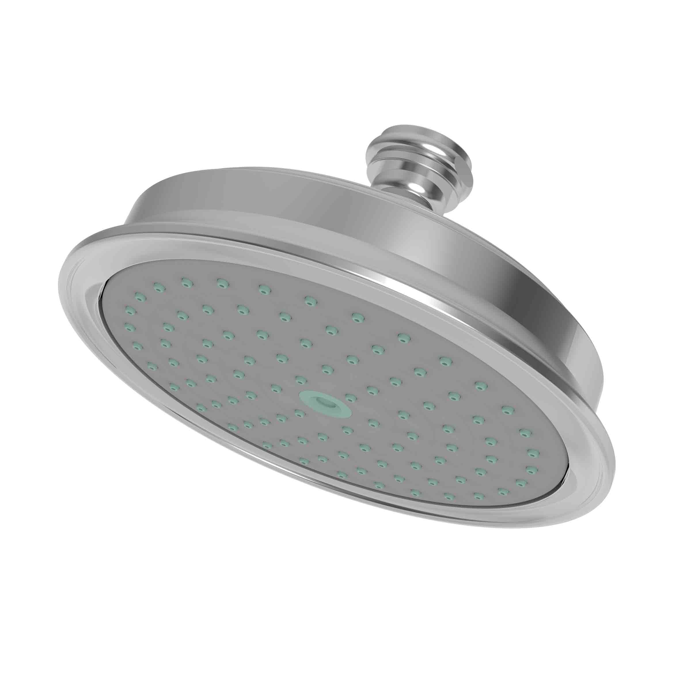 polished chrome shower head