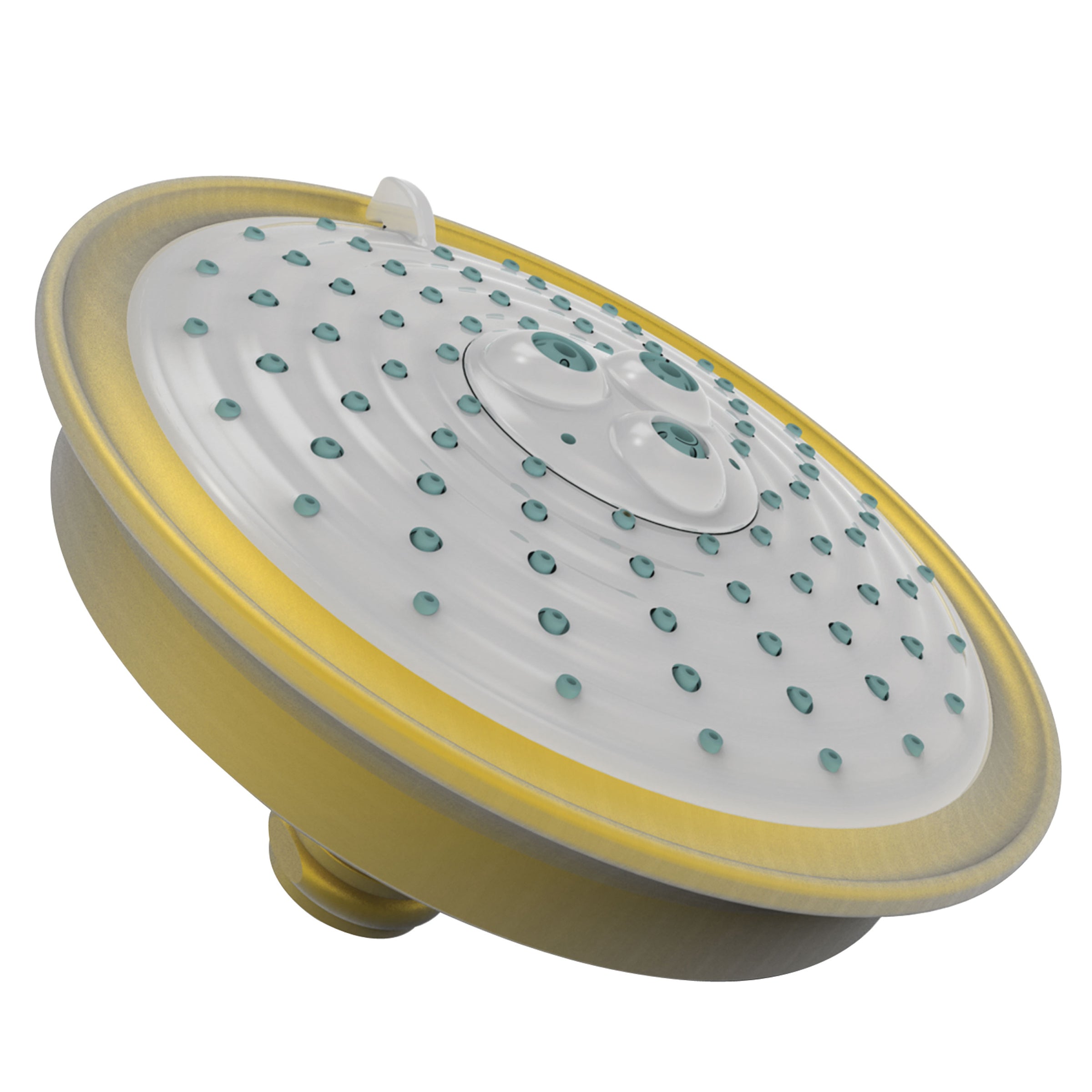 Newport Brass Tub & Shower Multifunction Showerhead