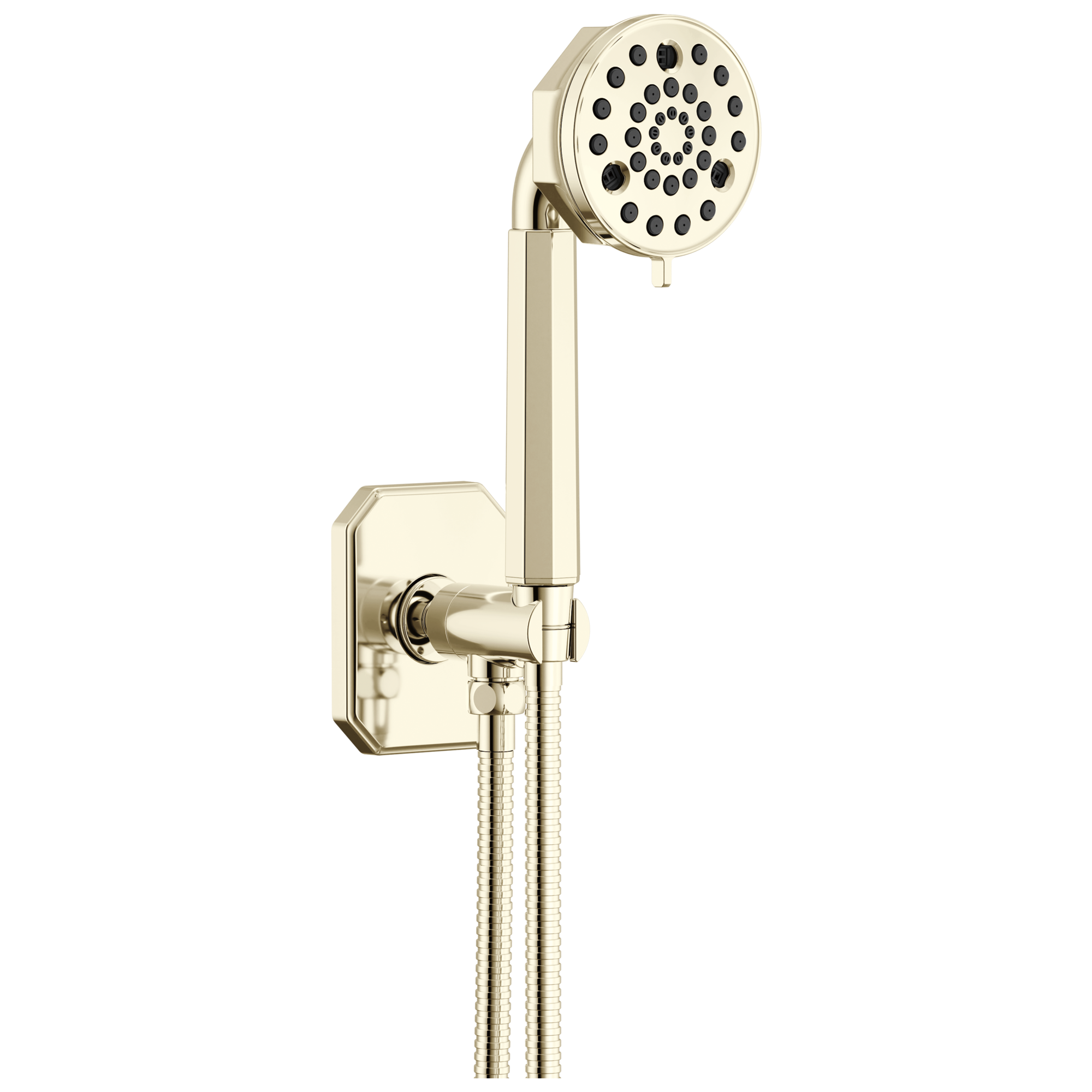 Brizo Beauclere Multi-Function Wall Mount Hand Shower