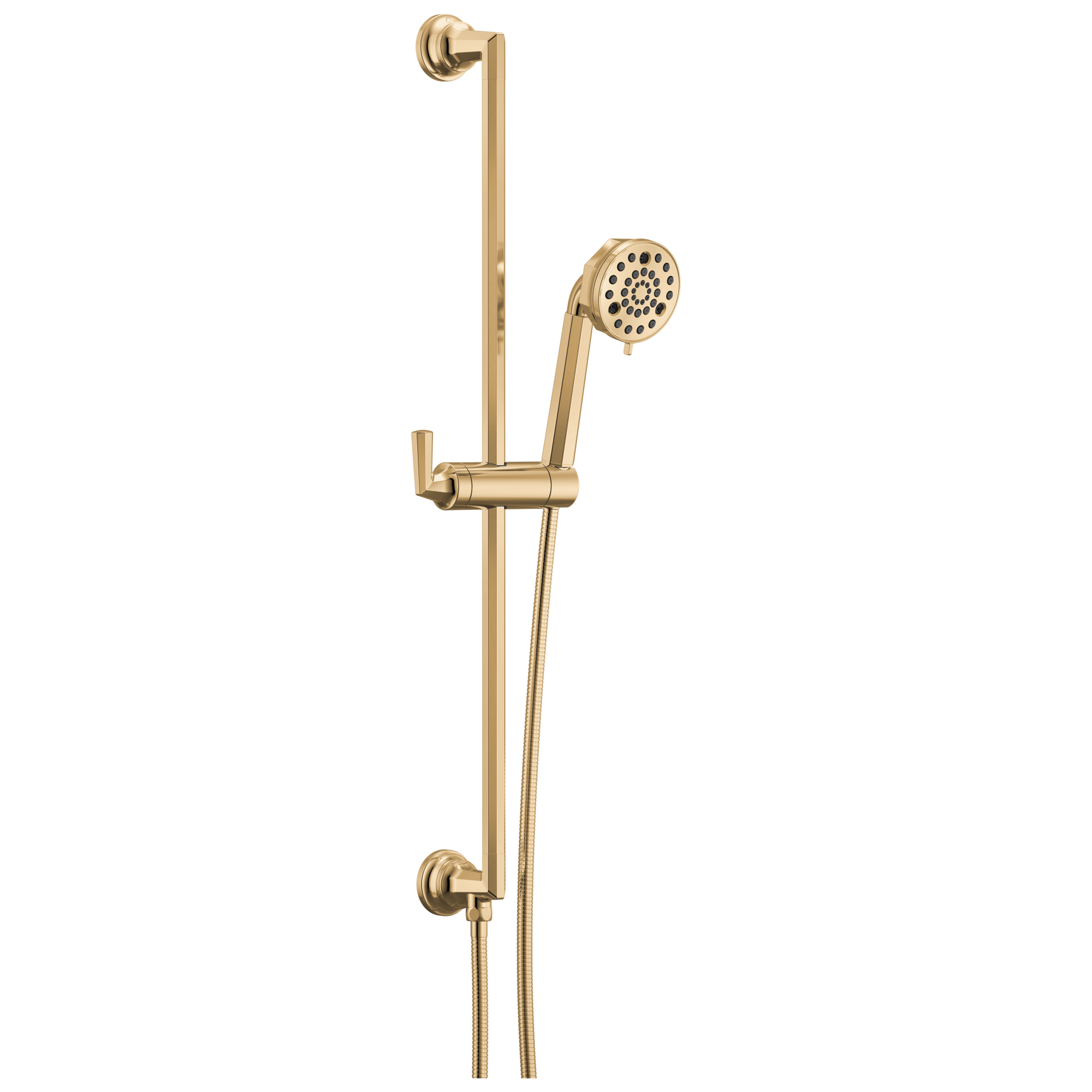 Brizo Beauclere Multi-Function Slide-Bar Hand Shower