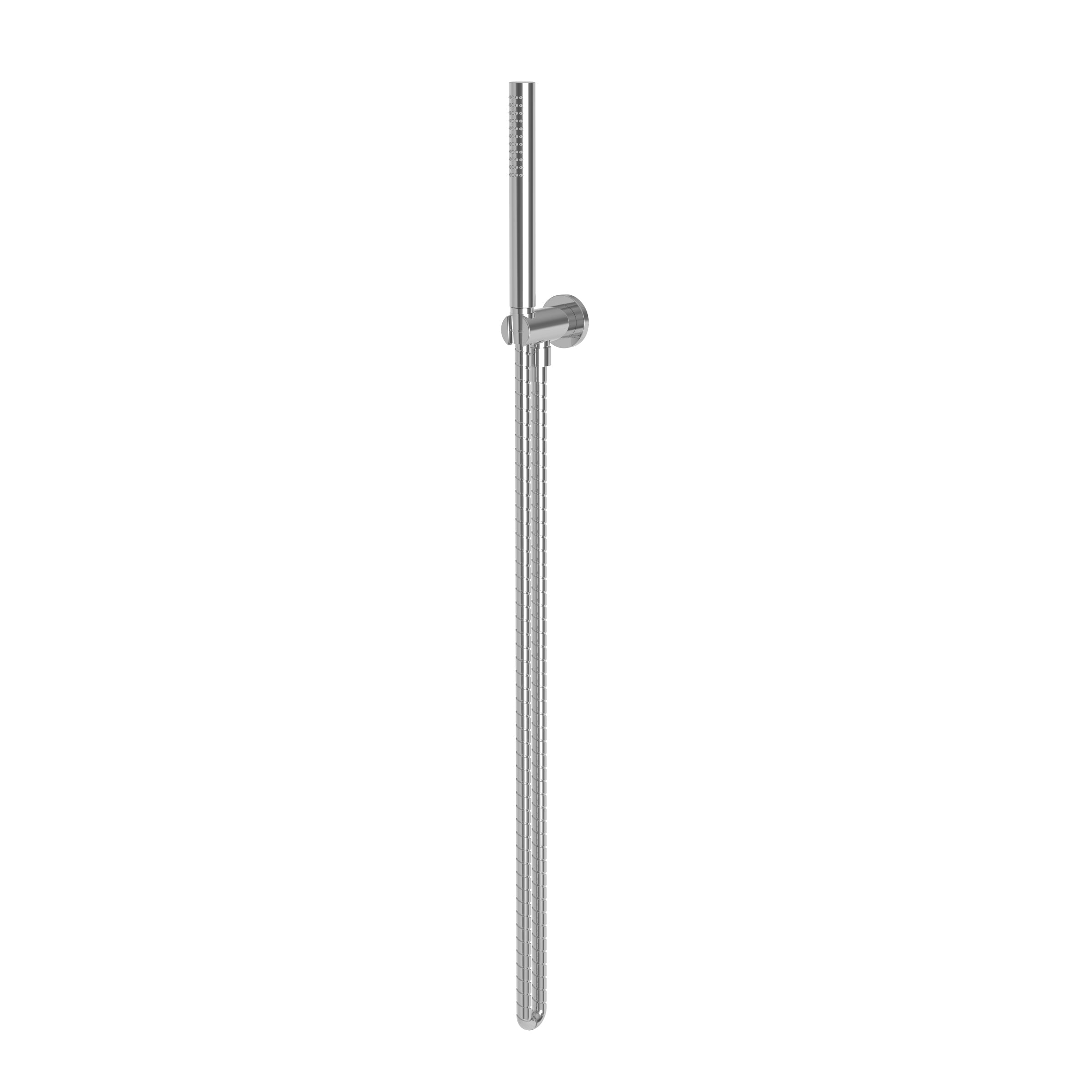 polished chrome hand shower set