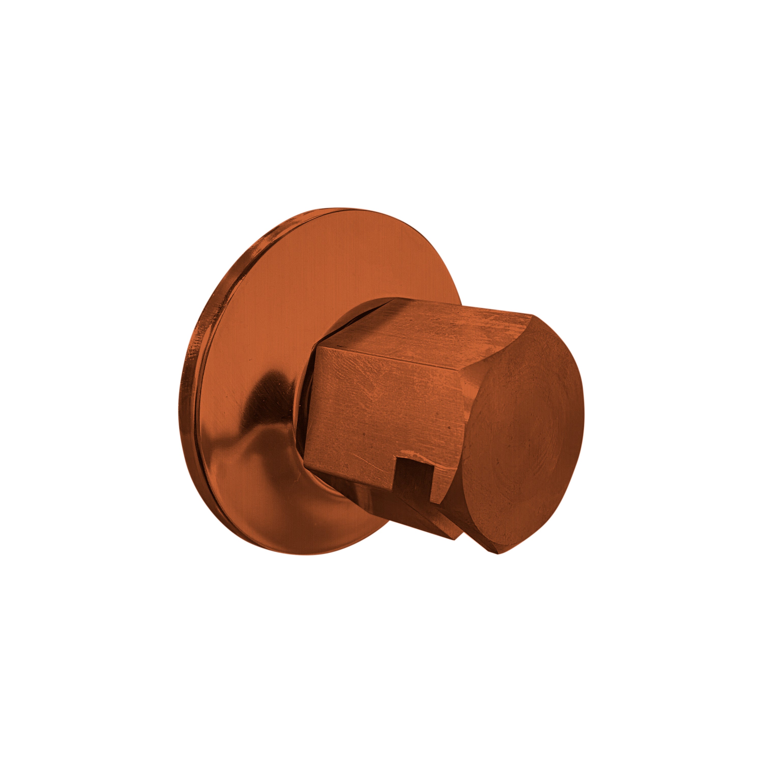 Thermasol Traditional 0.75" Style Steam Head