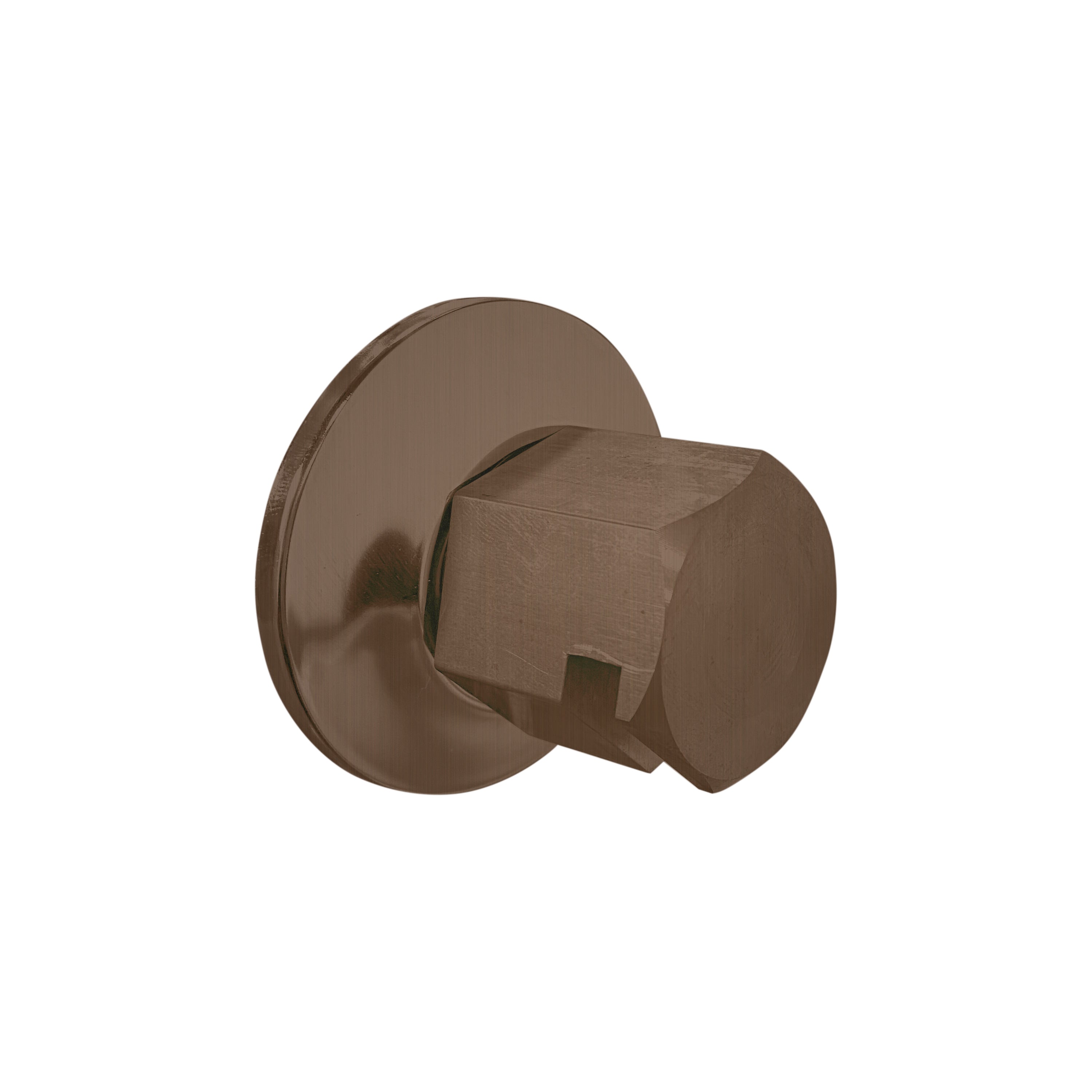 Thermasol Traditional 0.75" Style Steam Head