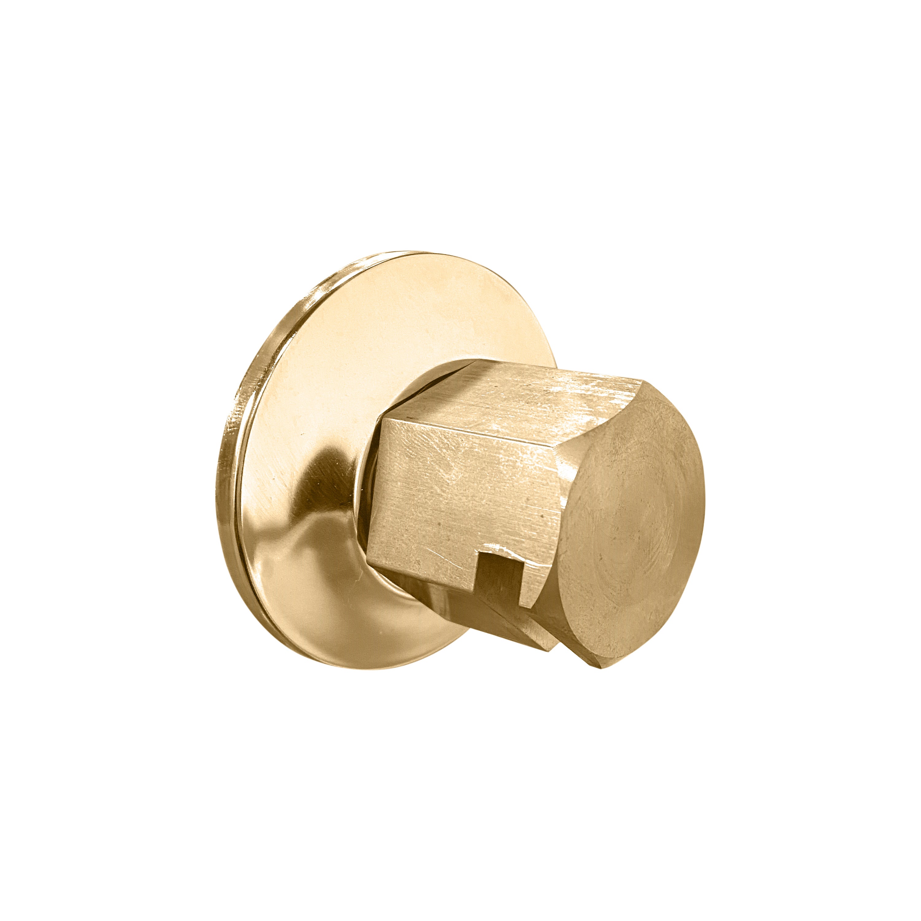 Thermasol Traditional 0.75" Style Steam Head