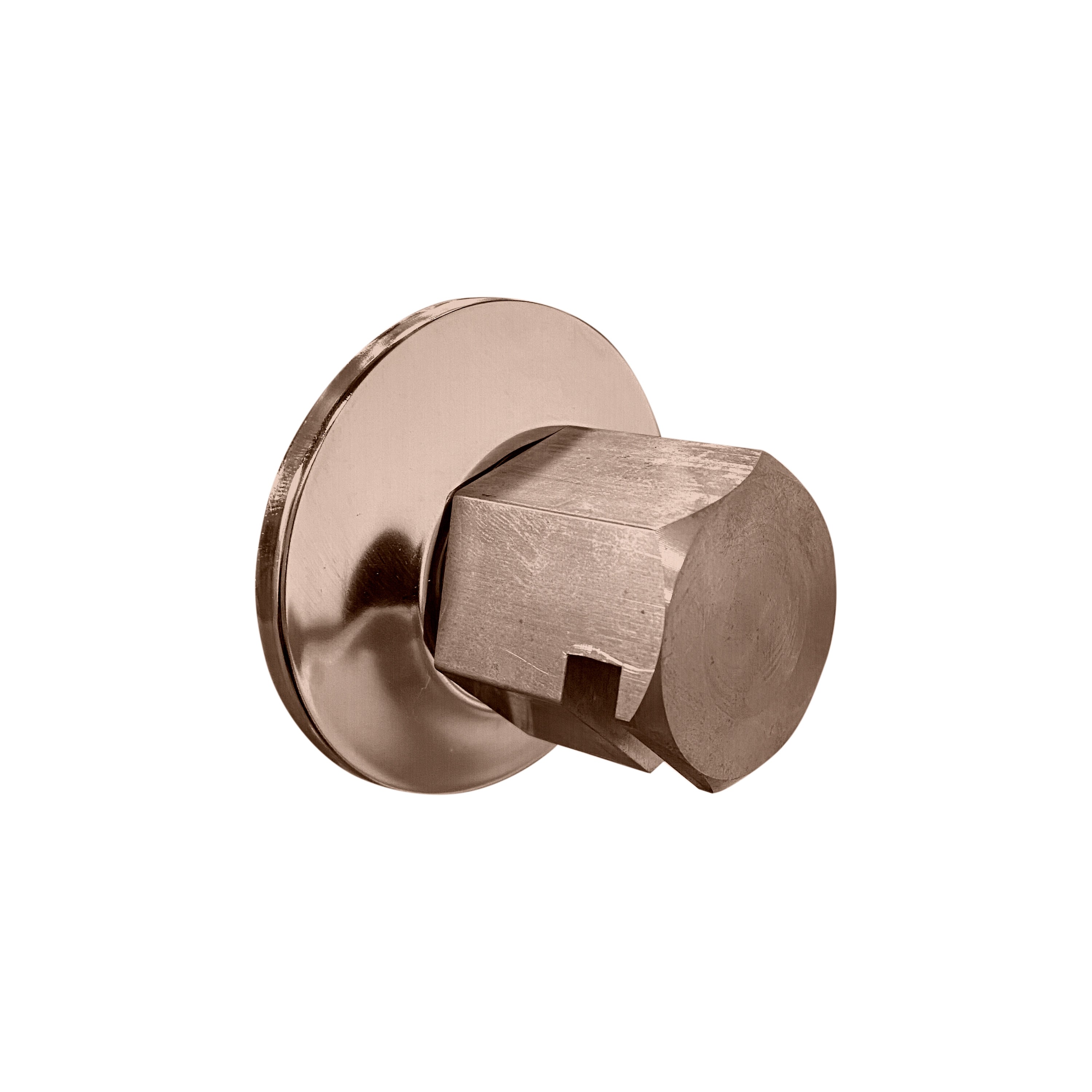 Thermasol Traditional 0.75" Style Steam Head