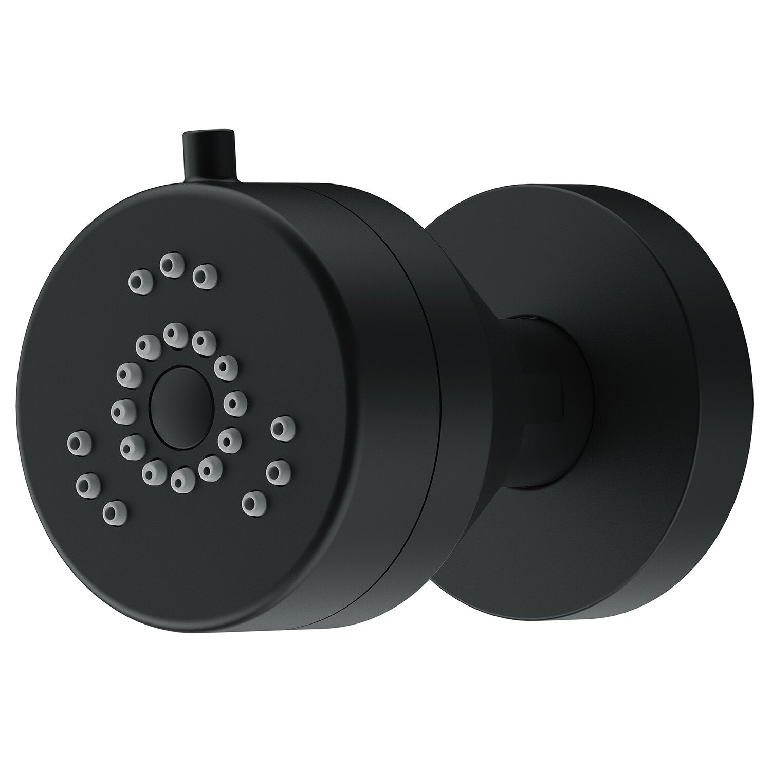 Danze by Gerber Parma 2 Function Wall Mount Body Spray 1.5gpm