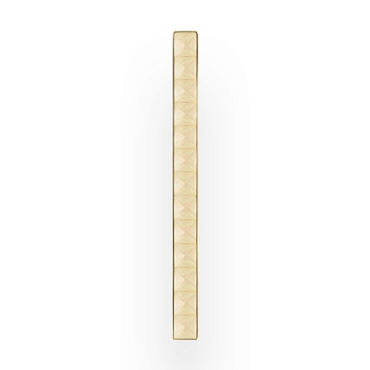 polished brass handle