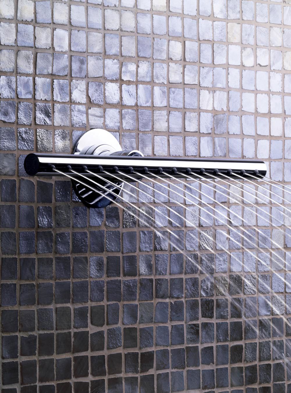 chrome showerhead