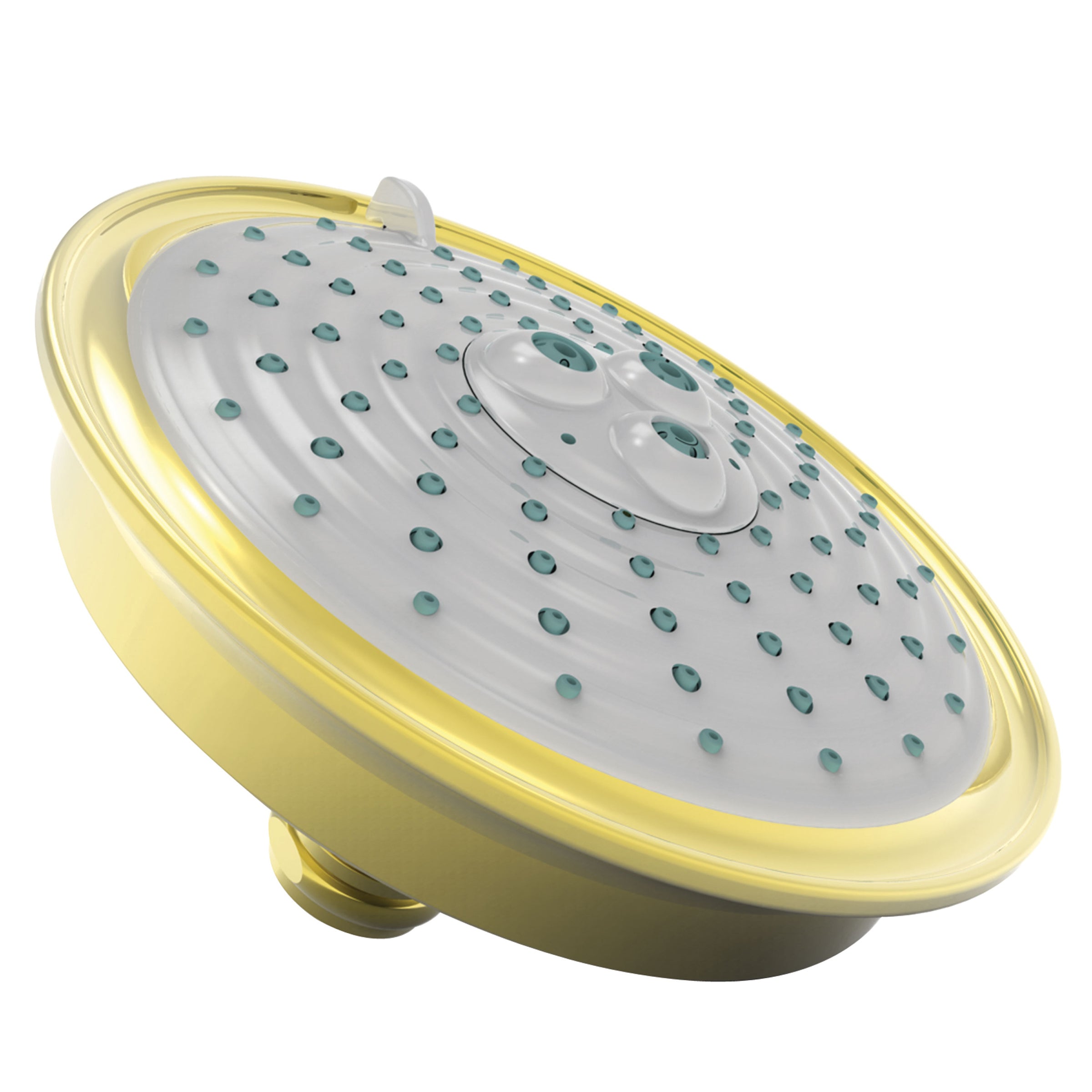 Newport Brass Tub & Shower Multifunction Showerhead