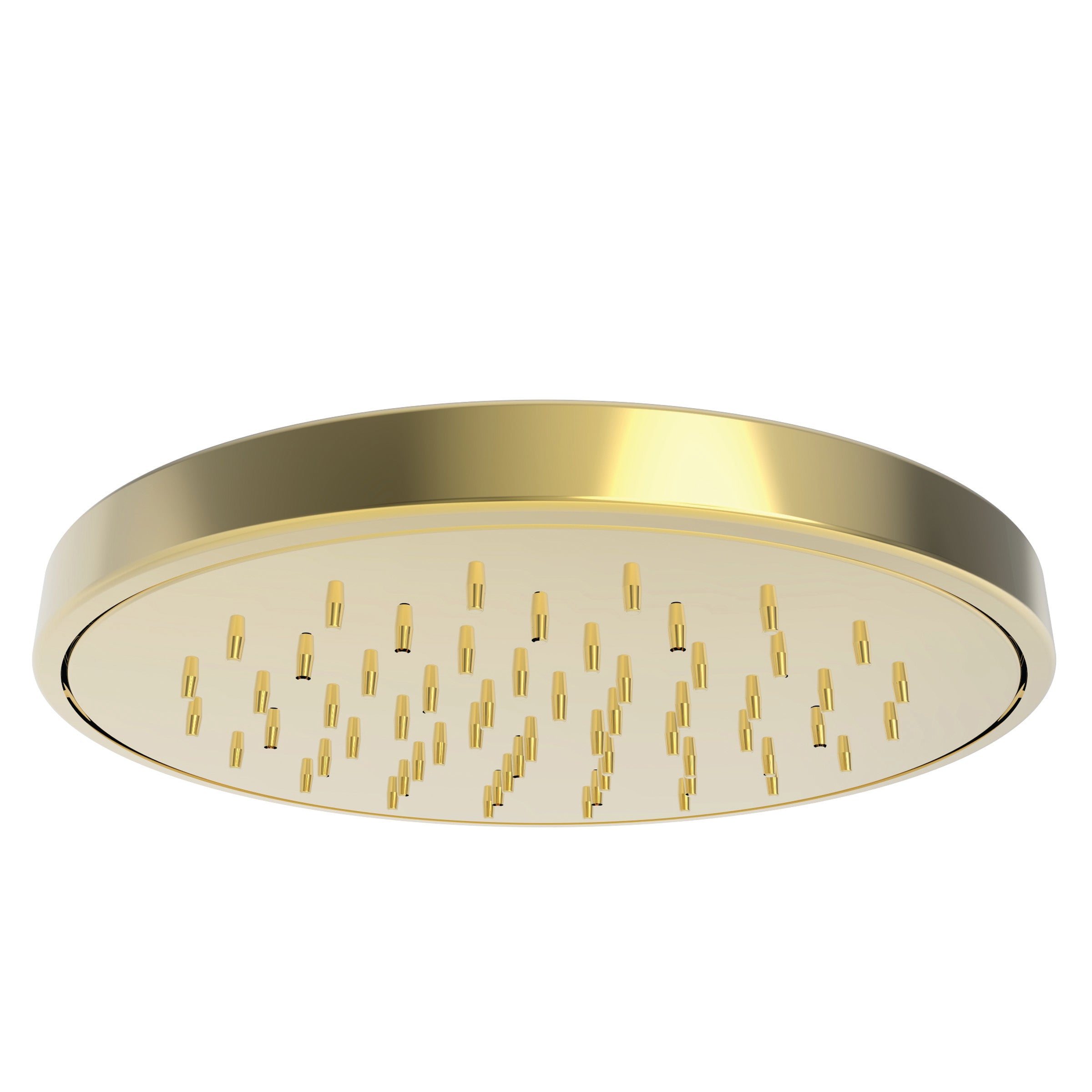 Newport Brass Tub & Shower Rainfall Shower Head