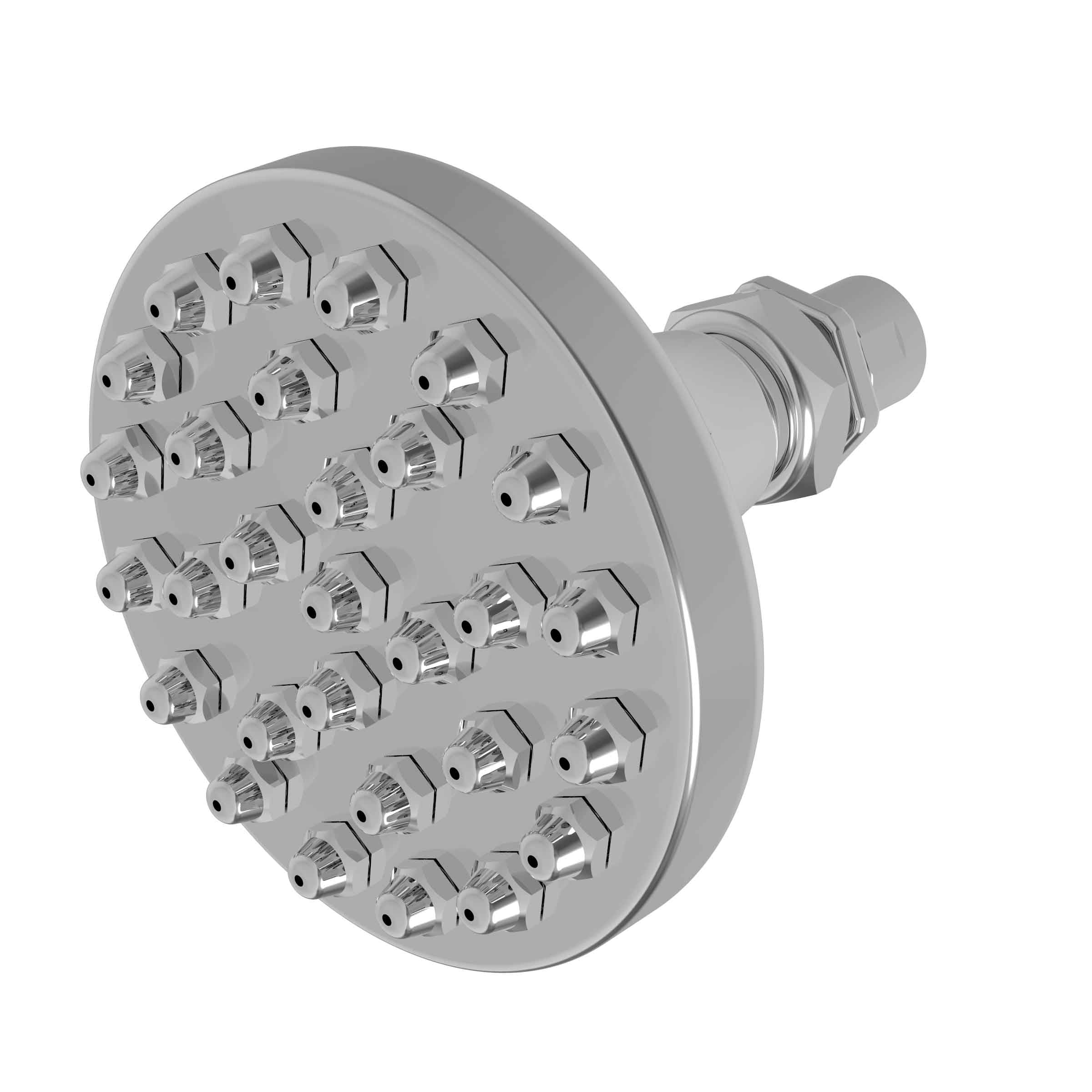 polished chrome shower head